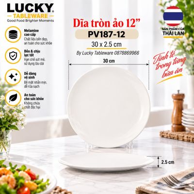 Dĩa tròn ảo 12