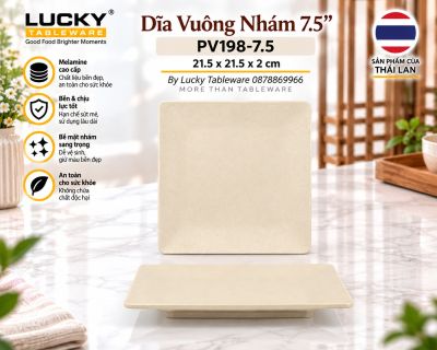 Dĩa Vuông Nhám 7.5