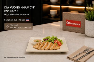 Dĩa Vuông Nhám 7.5