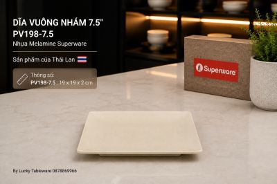 Dĩa Vuông Nhám 7.5