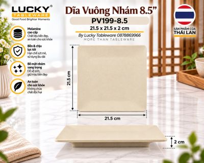 Dĩa Vuông Nhám 8.5