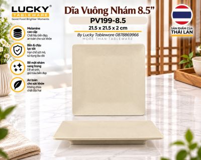 Dĩa Vuông Nhám 8.5