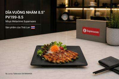 Dĩa Vuông Nhám 8.5