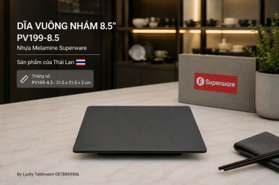 Dĩa Vuông Nhám 8.5