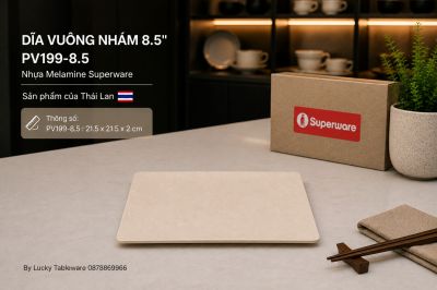 Dĩa Vuông Nhám 8.5