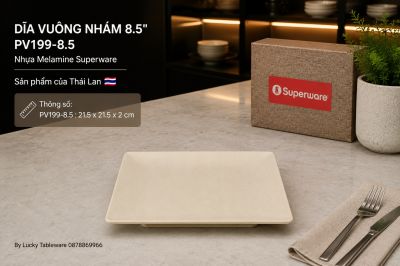 Dĩa Vuông Nhám 8.5