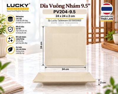 Dĩa Vuông Nhám 9.5