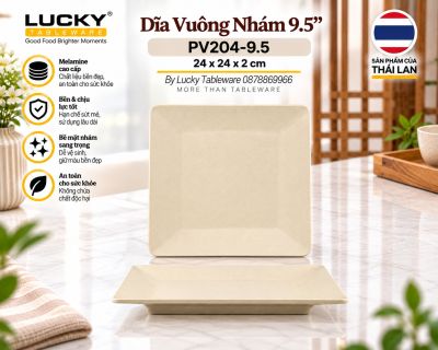 Dĩa Vuông Nhám 9.5