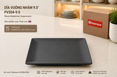 Dĩa Vuông Nhám 9.5