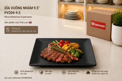 Dĩa Vuông Nhám 9.5