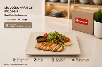 Dĩa Vuông Nhám 9.5