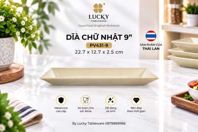 Dĩa Chữ Nhật 9