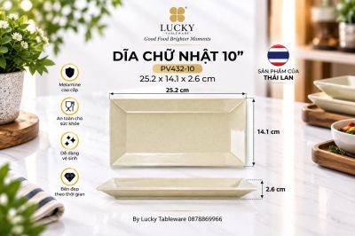 Dĩa Chữ Nhật 10