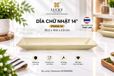 Dĩa Chữ Nhật 14