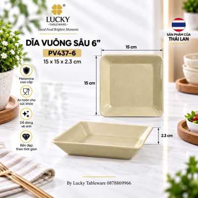 Dĩa Vuông Sâu 6