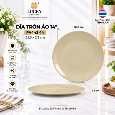 Dĩa tròn ảo 14
