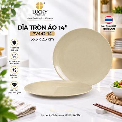 Dĩa tròn ảo 14