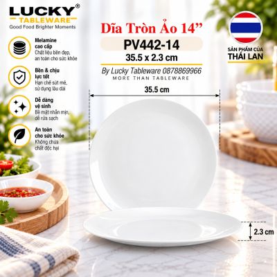 Dĩa tròn ảo 14