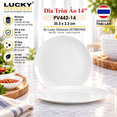 Dĩa tròn ảo 14