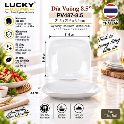 Dĩa Vuông 8.5'' | PV487-8.5