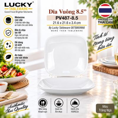 Dĩa Vuông 8.5'' | PV487-8.5