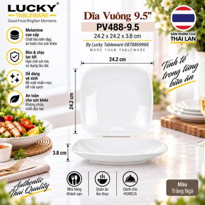 Dĩa Vuông 9.5'' | PV488-9.5