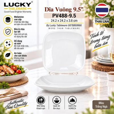 Dĩa Vuông 9.5'' | PV488-9.5