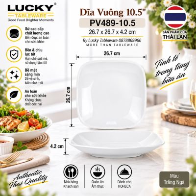 Dĩa Vuông 10.5'' | PV489-10.5