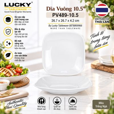 Dĩa Vuông 10.5'' | PV489-10.5