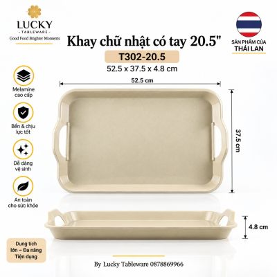 Khay chữ nhật có tay 20.5