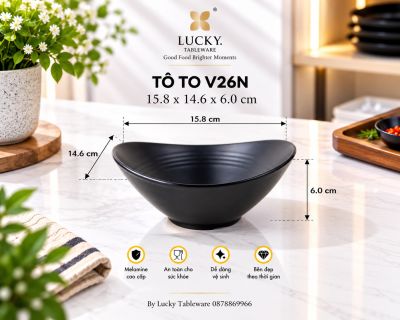 TÔ TO V26N NHÁM ĐEN