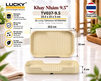 Khay Nhám 9.5