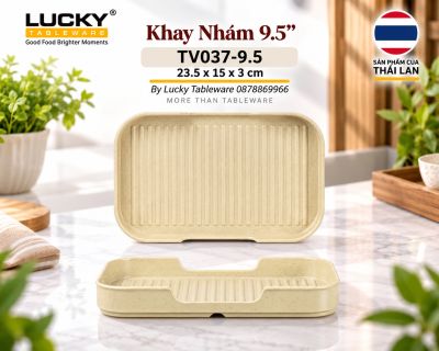 Khay Nhám 9.5