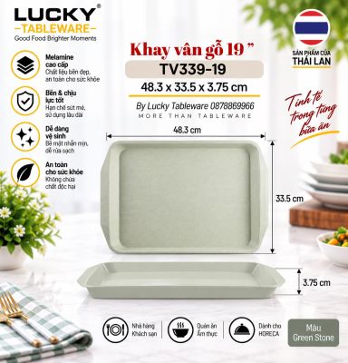 Khay vân gỗ 19