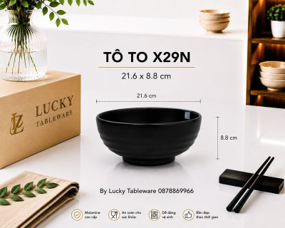 TÔ TO X29N NHÁM ĐEN