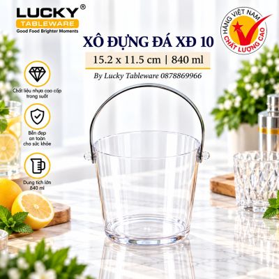 XÔ ĐỰNG ĐÁ XĐ 10